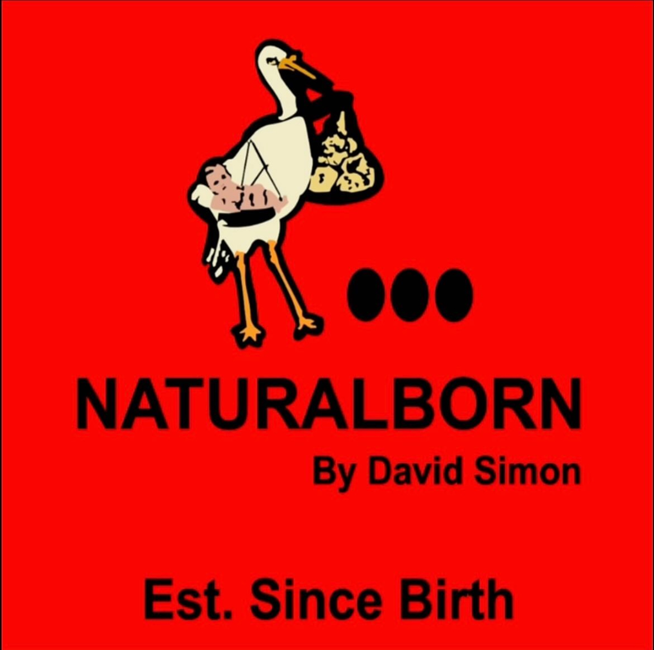 IMG_8669.jpg (506 KB)